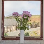 High_Bed1_Window_comp