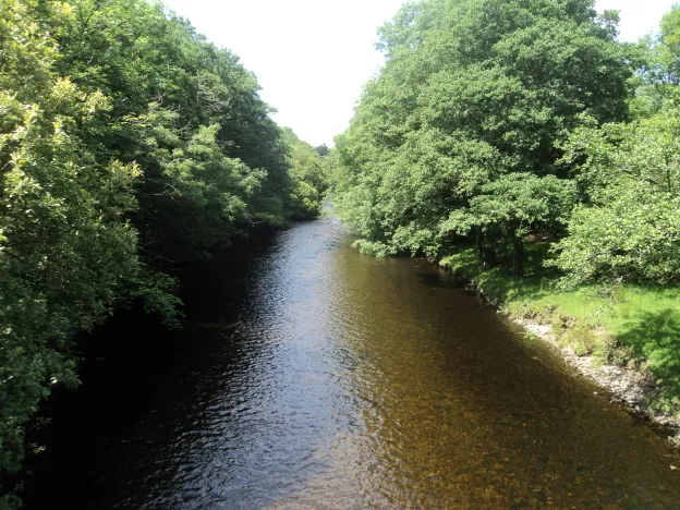 Merlin Cottages Fishing Information