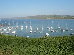 newquay